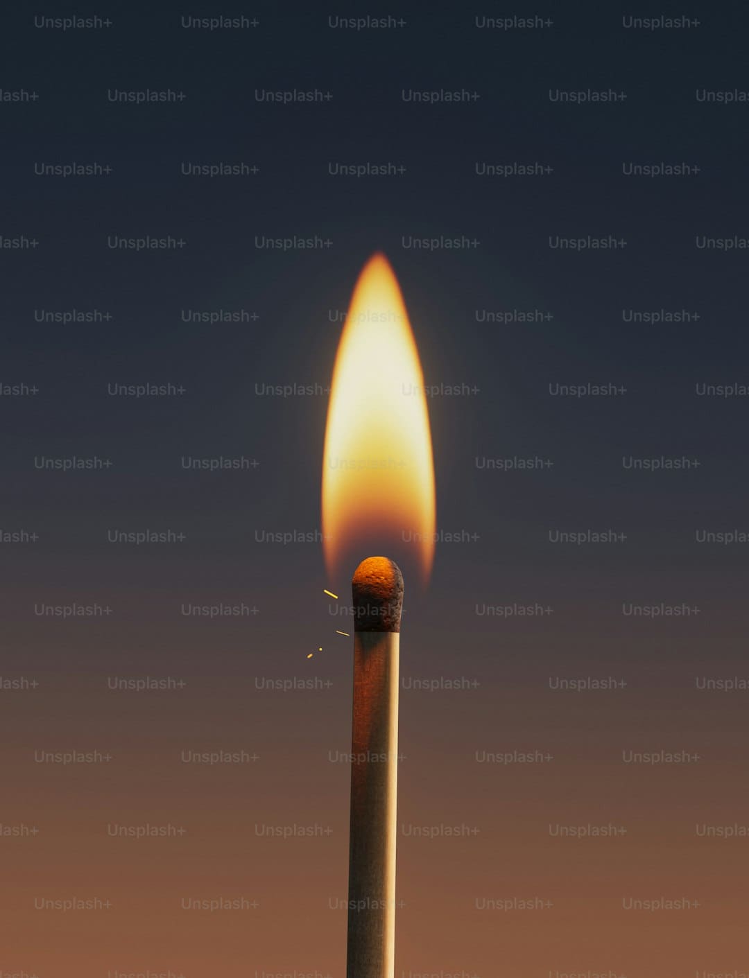 鲤城区经过一批人事任免！